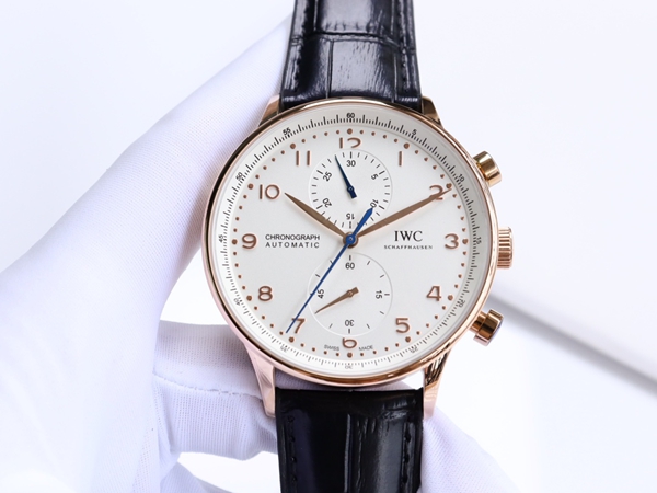 アイ・ダブリュー・シー背面デザイン